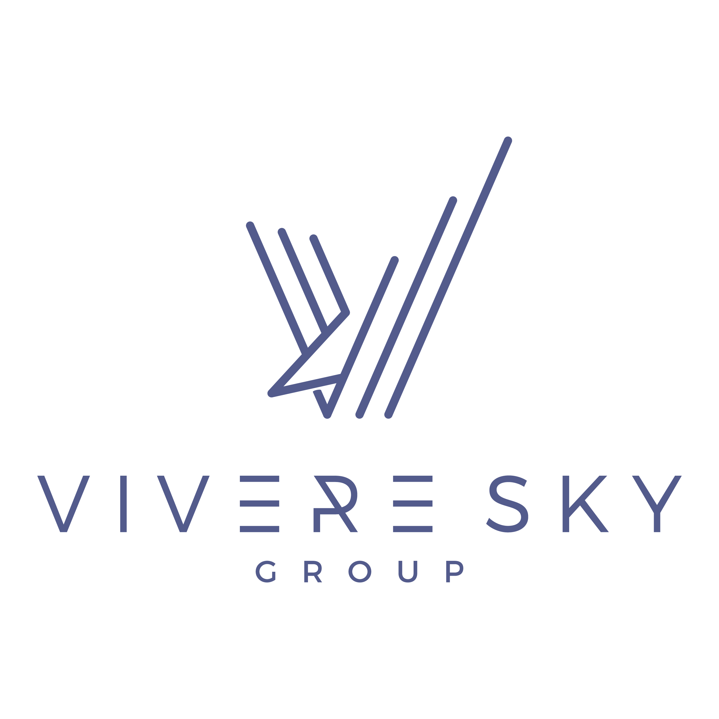 VIVERE SKY (HK) LIMITED